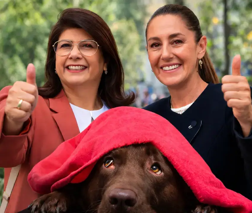 Sheinbaum defiende a Mariela Gutiérrez tras sacrificio de perros en Tecámac