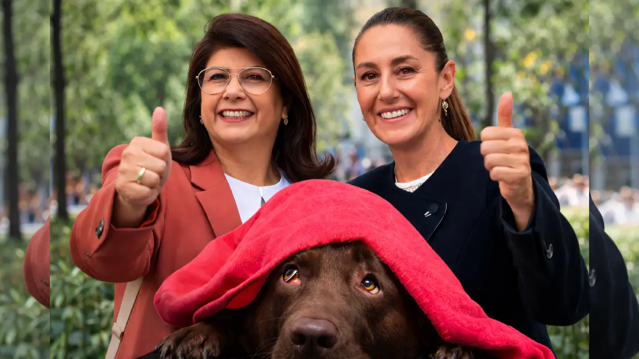 Sheinbaum defiende a Mariela Gutiérrez tras sacrificio de perros en Tecámac