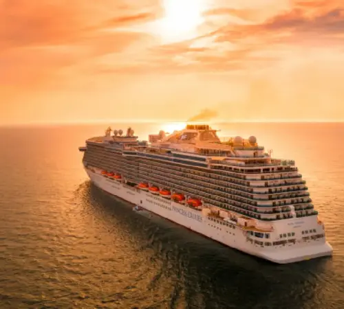 ¿Ratas en crucero? Brote de hantavirus dejó 3 muertos