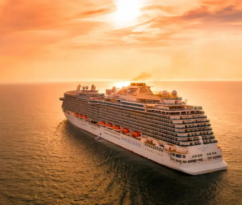 ¿Ratas en crucero? Brote de hantavirus dejó 3 muertos