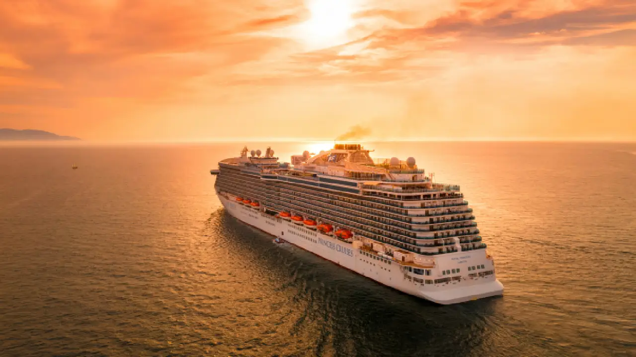 Ratas en crucero Brote de hantavirus dejó 3 muertos