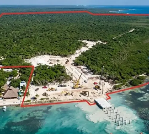 Semarnat frena proyecto “Perfect Day” de Royal Caribbean en Quintana Roo