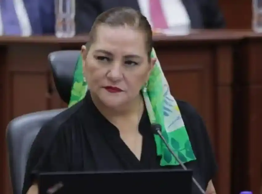 Guadalupe Taddei señala que INE no debe juzgar ni investigar narco-candidatos