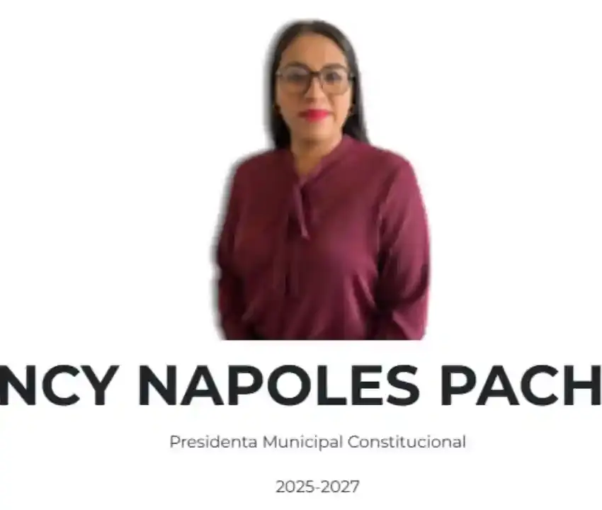 Morena inicia proceso contra Nancy Nápoles por presunto secuestro simulado