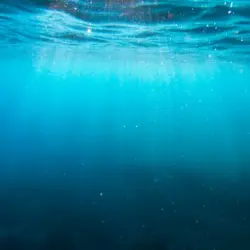 Qué misterios podrían ocultarse en las profundidades marinas