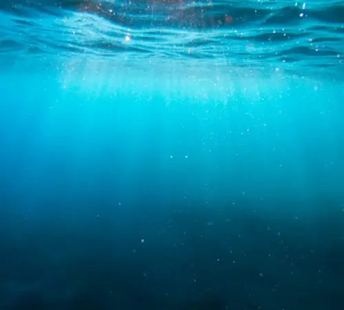 Qué misterios podrían ocultarse en las profundidades marinas