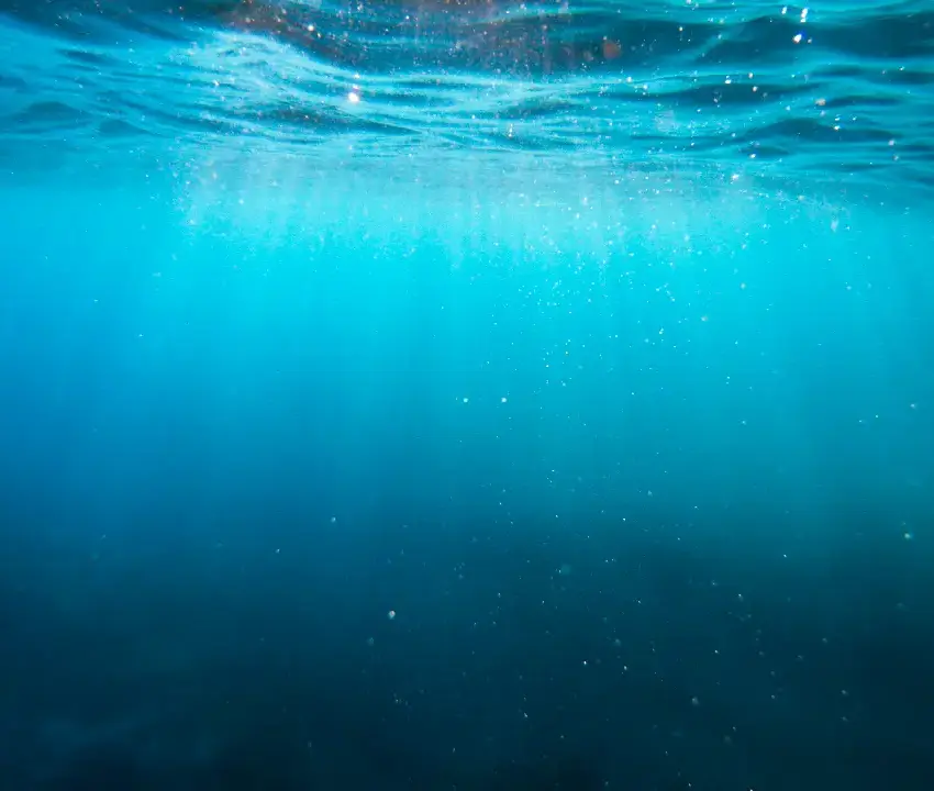 Qué misterios podrían ocultarse en las profundidades marinas