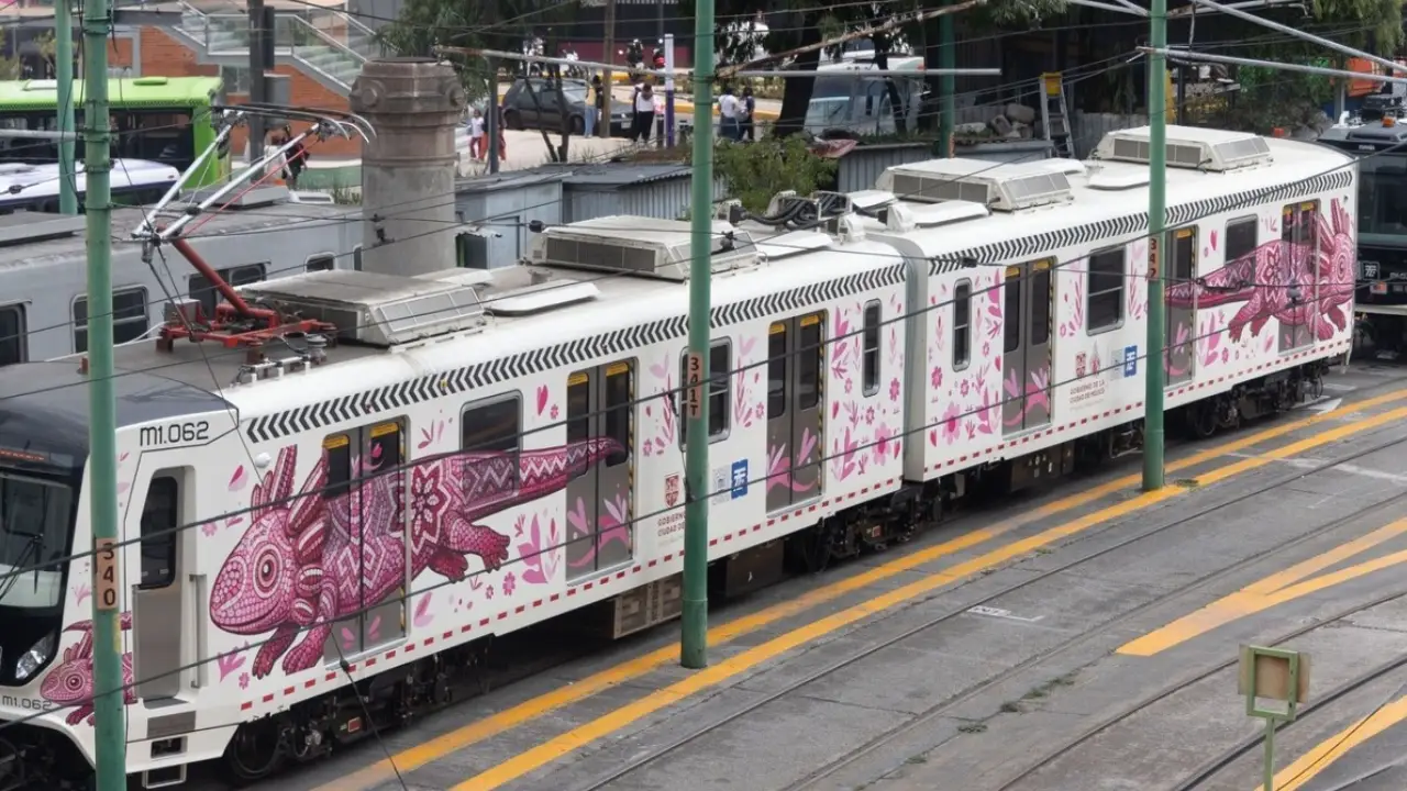 Tren ligero reanuda servicio completo tras disturbios en las vías
