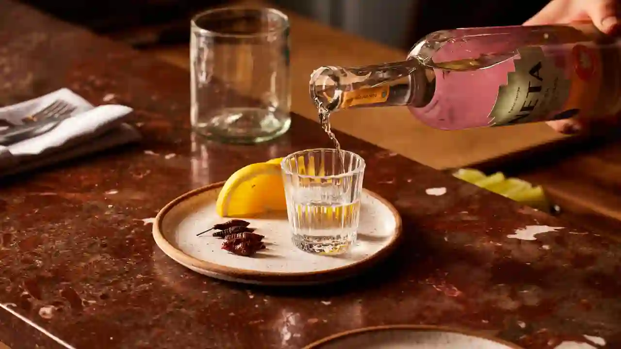 Día Internacional del Tequila La esencia mexicana que conquista Denver | Día Internacional del Tequila La esencia mexicana que conquista Denver