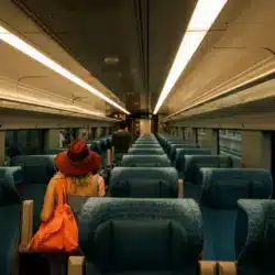Suprema Corte detiene el servicio del Tren Maya en tramo clave | Suspensión Tren Maya