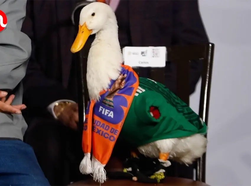 Lotería Nacional lanzará billete conmemorativo del Pato Merlín