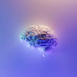 Día Mundial del Cerebro: 10 misterios que la ciencia todavía no puede explicar