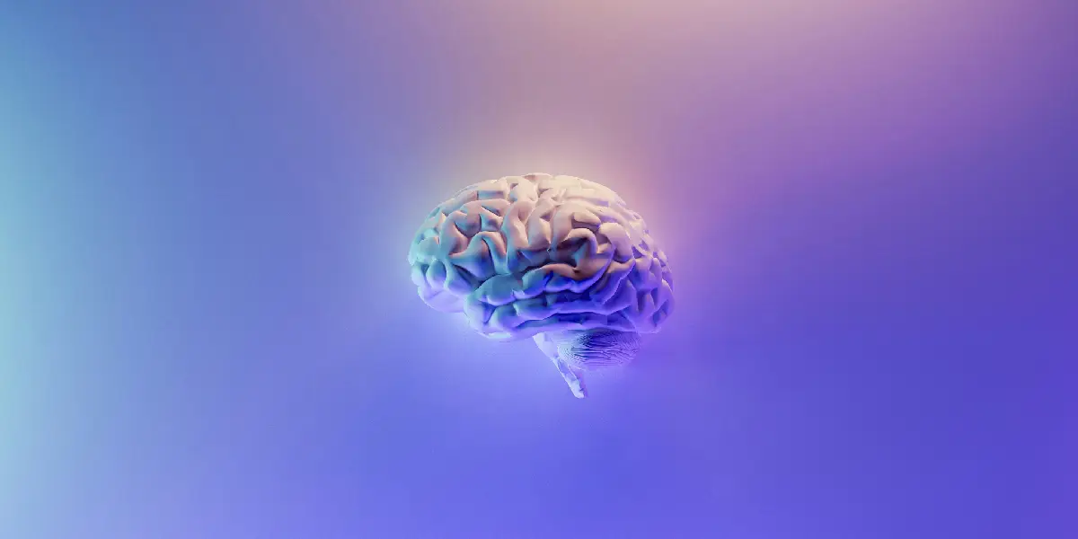 Día Mundial del Cerebro 10 misterios que la ciencia todavía no puede explicar | El Día Mundial del Cerebro busca crear conciencia sobre la importancia de cuidar este órgano y promover la investigación de las enfermedades neurológicas