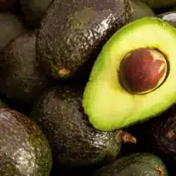 Aguacate de Michoacán: exportación a EU sigue suspendida por tercer día