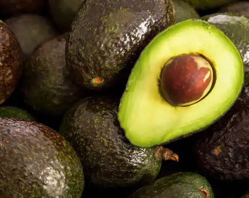 Aguacate de Michoacán: exportación a EU sigue suspendida por tercer día