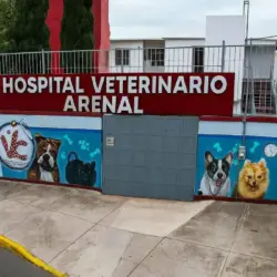 Hospital veterinario público en CDMX atenderá mascotas las 24 horas | Hospital veterinario público en CDMX atenderá mascotas las 24 horas