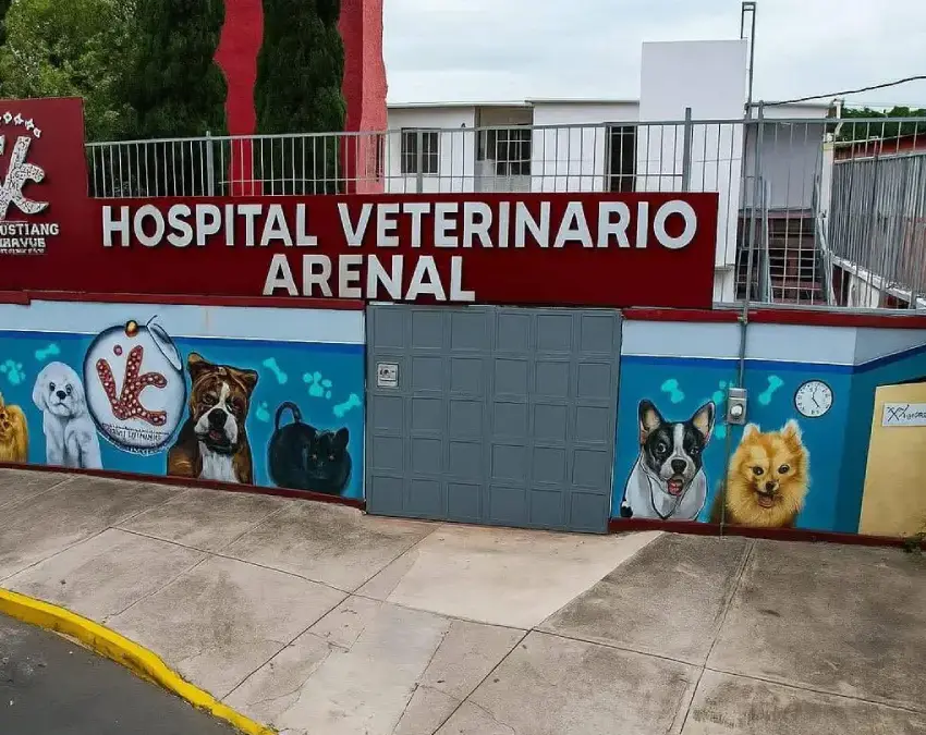 Hospital veterinario público en CDMX atenderá mascotas las 24 horas | Hospital veterinario público en CDMX atenderá mascotas las 24 horas