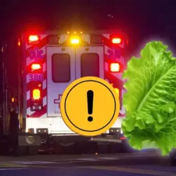 Brote de Cyclospora en EU deja dos muertos y miles de casos en Michigan | Dos muertos y miles de casos por Cyclospora en Estados Unidos
