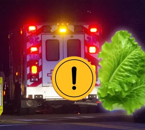 Brote de Cyclospora en EU deja dos muertos y miles de casos en Michigan | Dos muertos y miles de casos por Cyclospora en Estados Unidos