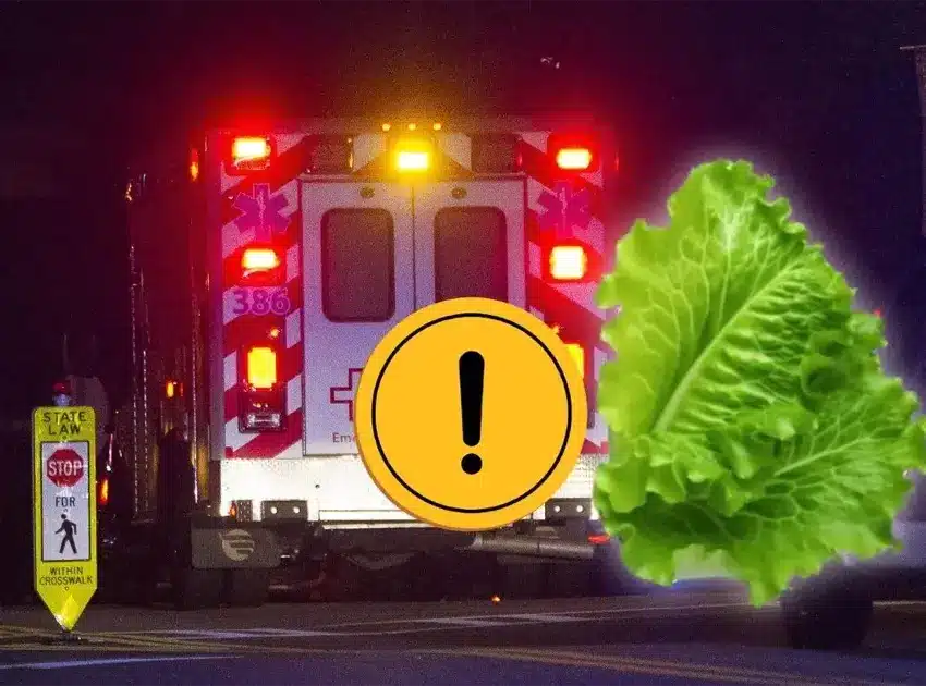 Brote de Cyclospora en EU deja dos muertos y miles de casos en Michigan | Dos muertos y miles de casos por Cyclospora en Estados Unidos