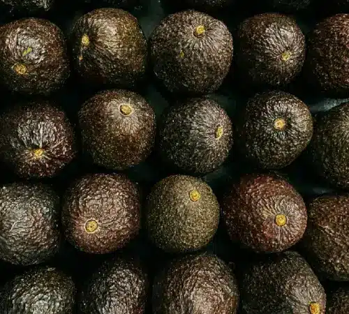 Estados Unidos suspende temporalmente las importaciones de aguacate de Michoacán tras alerta de seguridad | La decisión afecta temporalmente las operaciones de los empaques autorizados para exportar aguacate de Michoacán a Estados Unidos